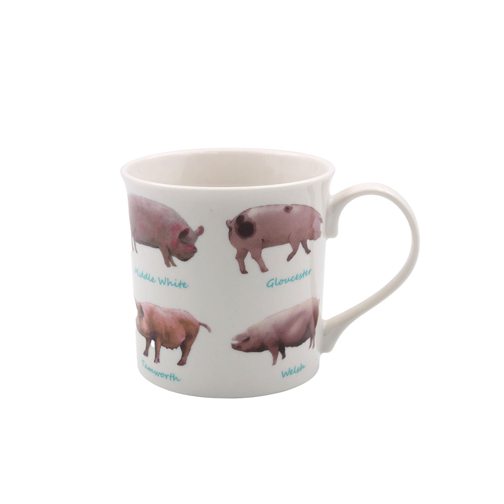 Types of Pig Mug