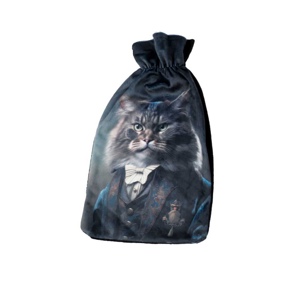 Tabby Cat In Blue Hot Water Bottle