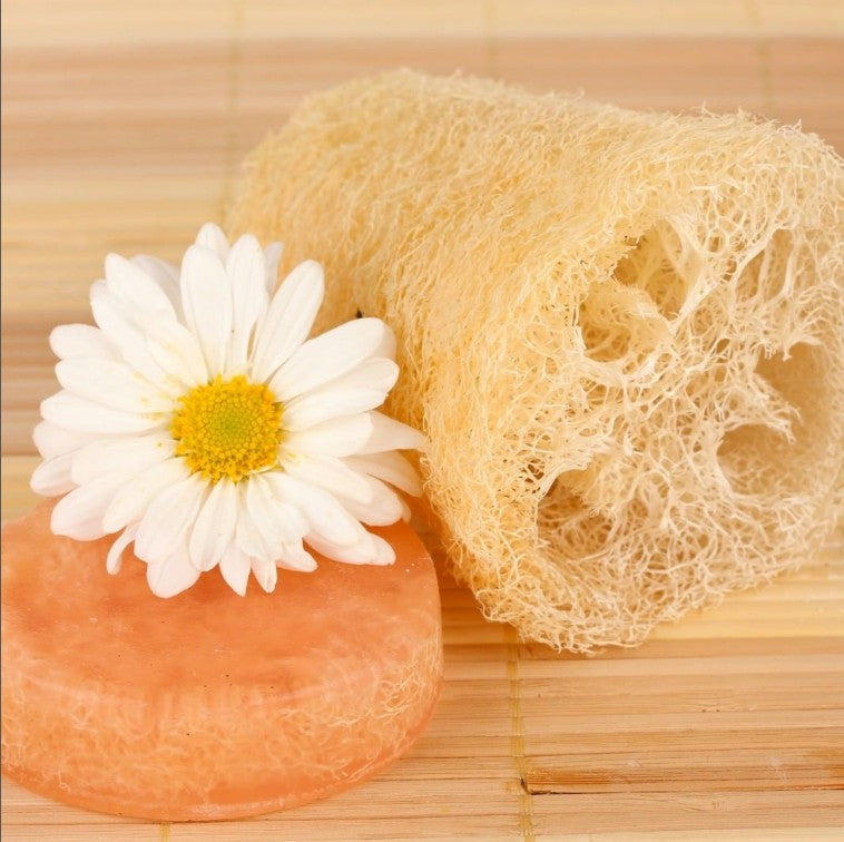 Eco Bath Natural Loofah With String (5")