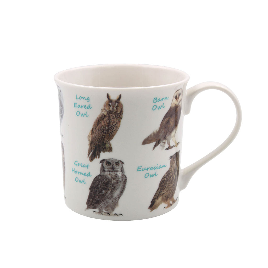 Types of Owl Mug