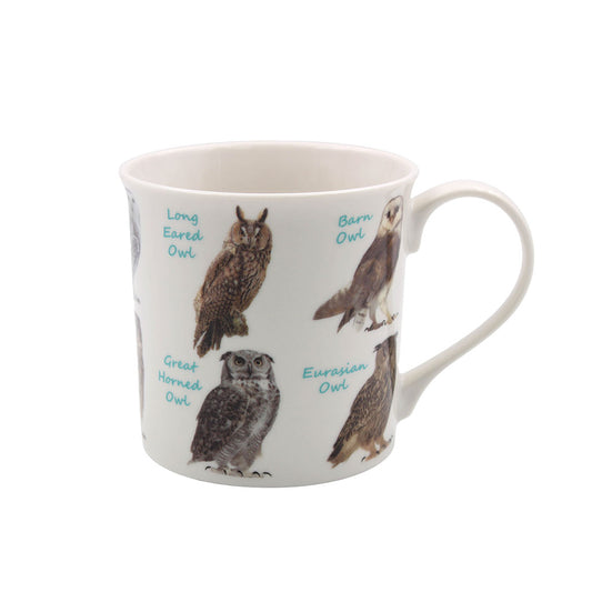 Types of Owl Mug