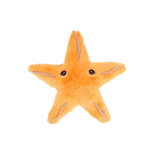 Keeleco 12cm Starfish Soft Toy