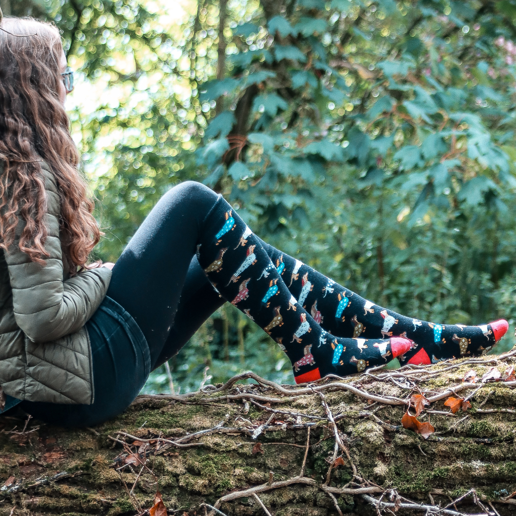 Dachshund Welly Socks