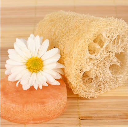 Eco Bath Natural Loofah With String (15")